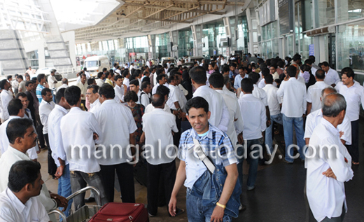 Mangalore Airport-Bison2